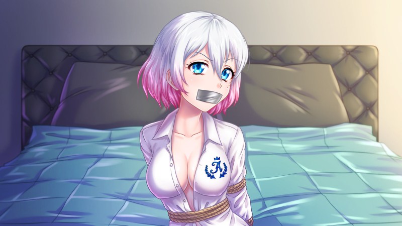 Kidnapped Girl Visual Novel
