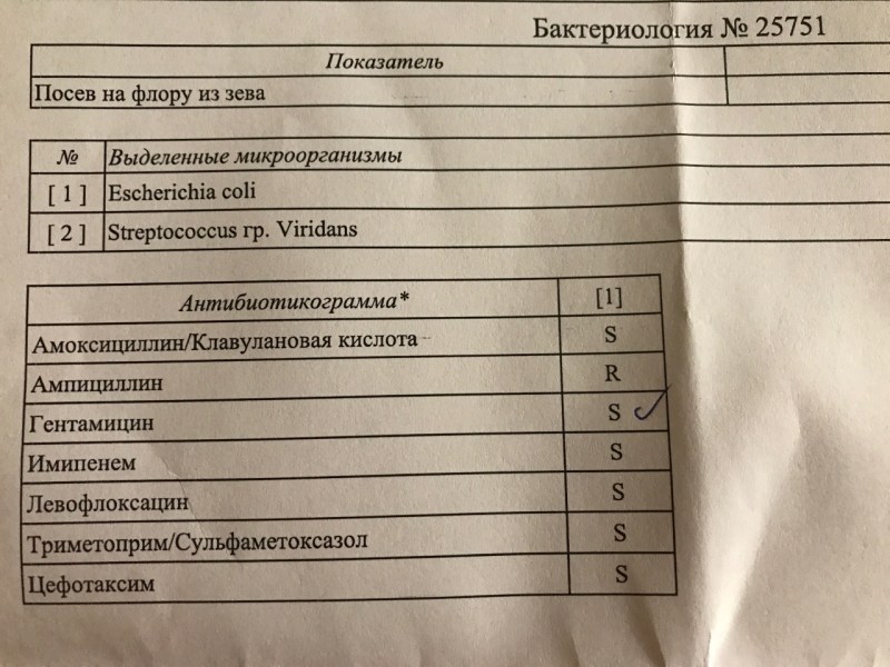 Cloth of urine sowing Escherichia coli 10 4