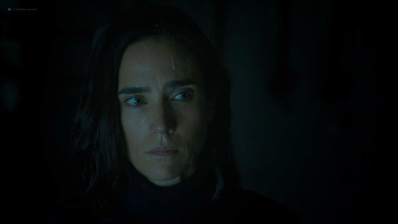 Jennifer Connelli Shelter