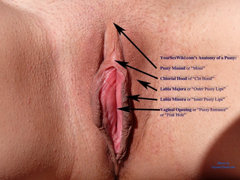 High location of the vagina
