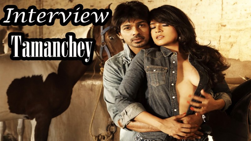 Miniature brunette leisure