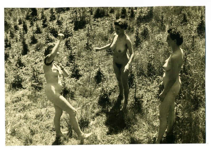 Many beautiful naked women