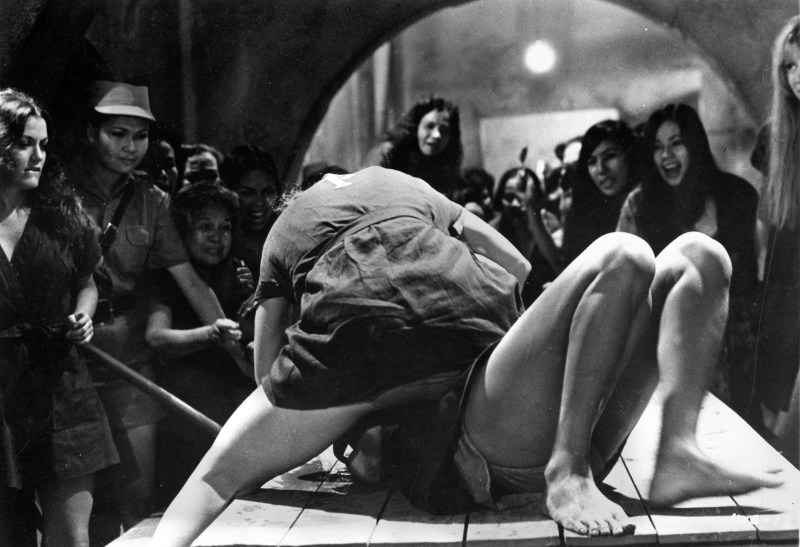 Pam Griere Women in Cages 1971