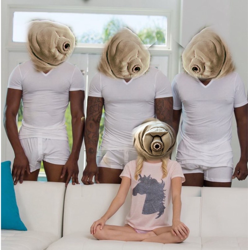 02 Darling in Ze Franks