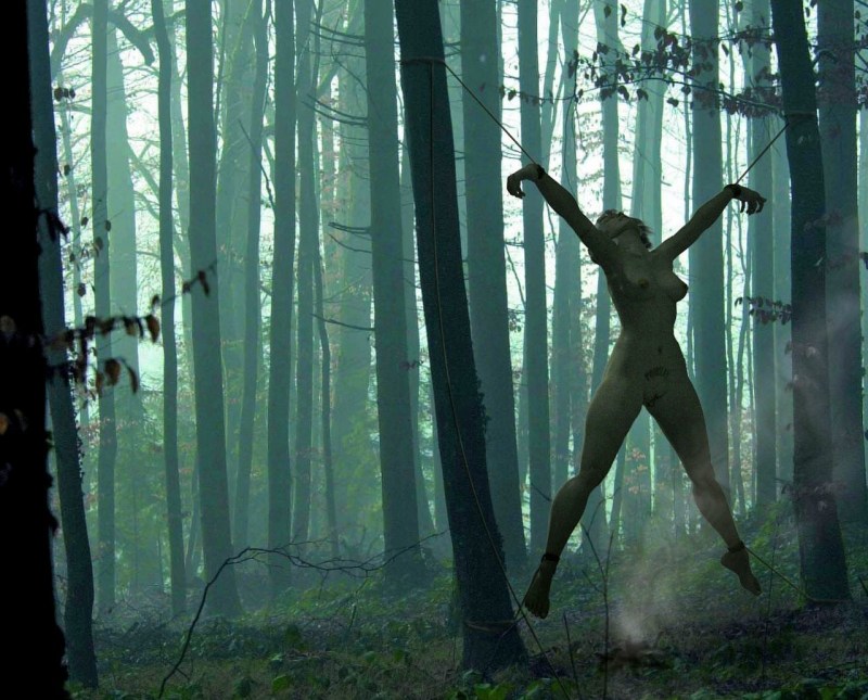 Sex Outdoors in the Woods pictures