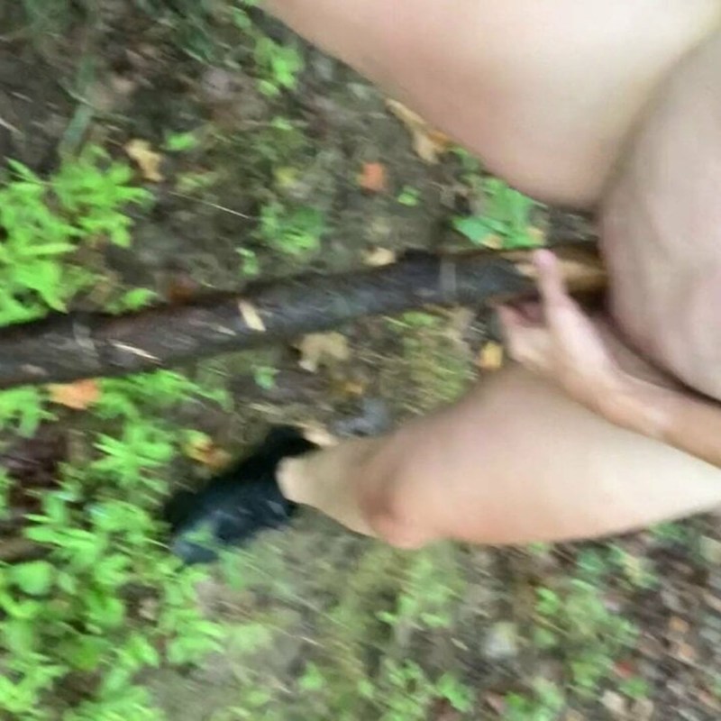 Porn by wood in the forest