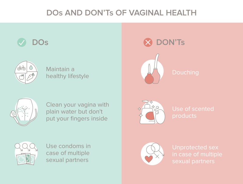 The resume of the programmer