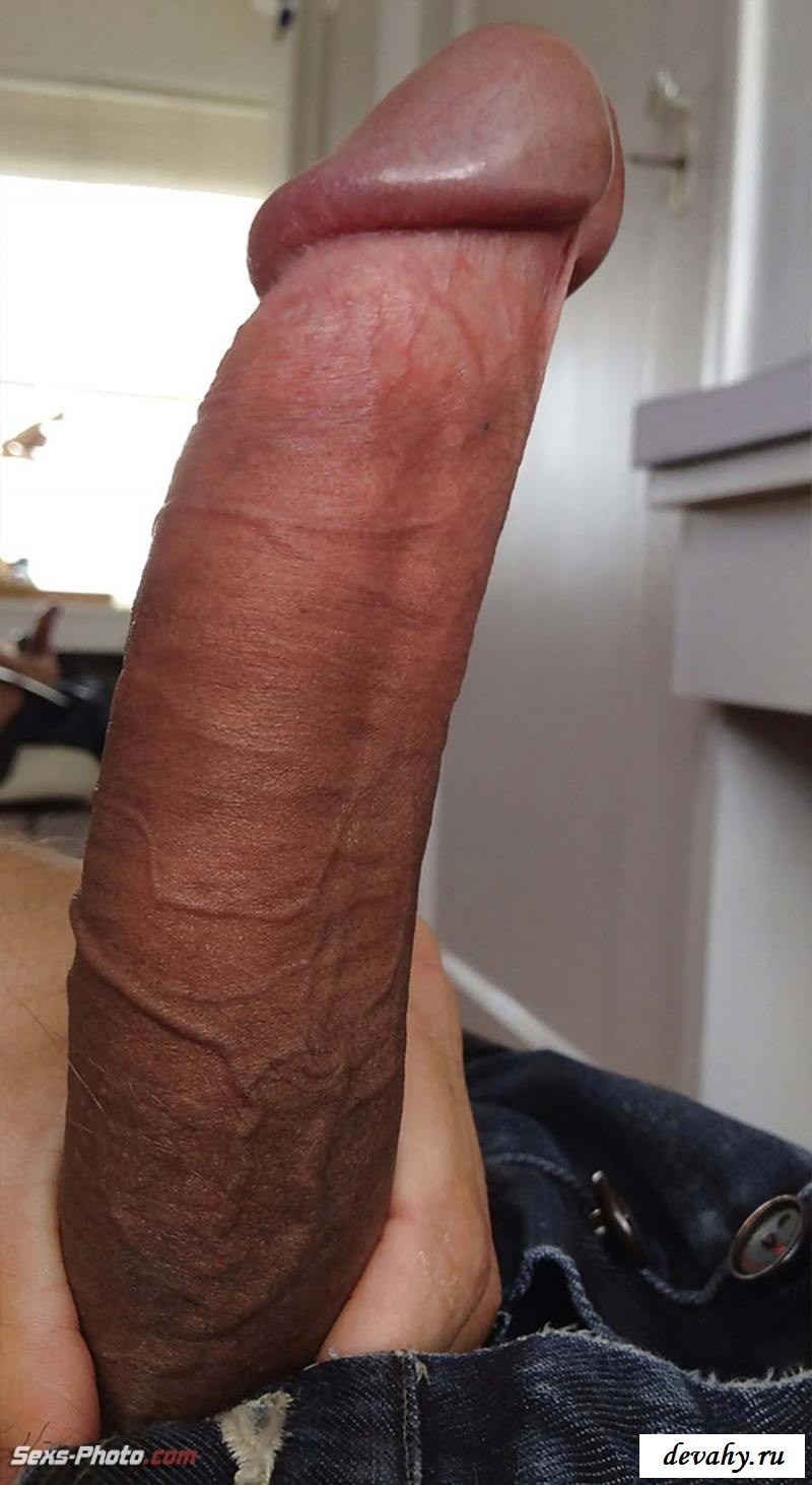 Huge cock close -up