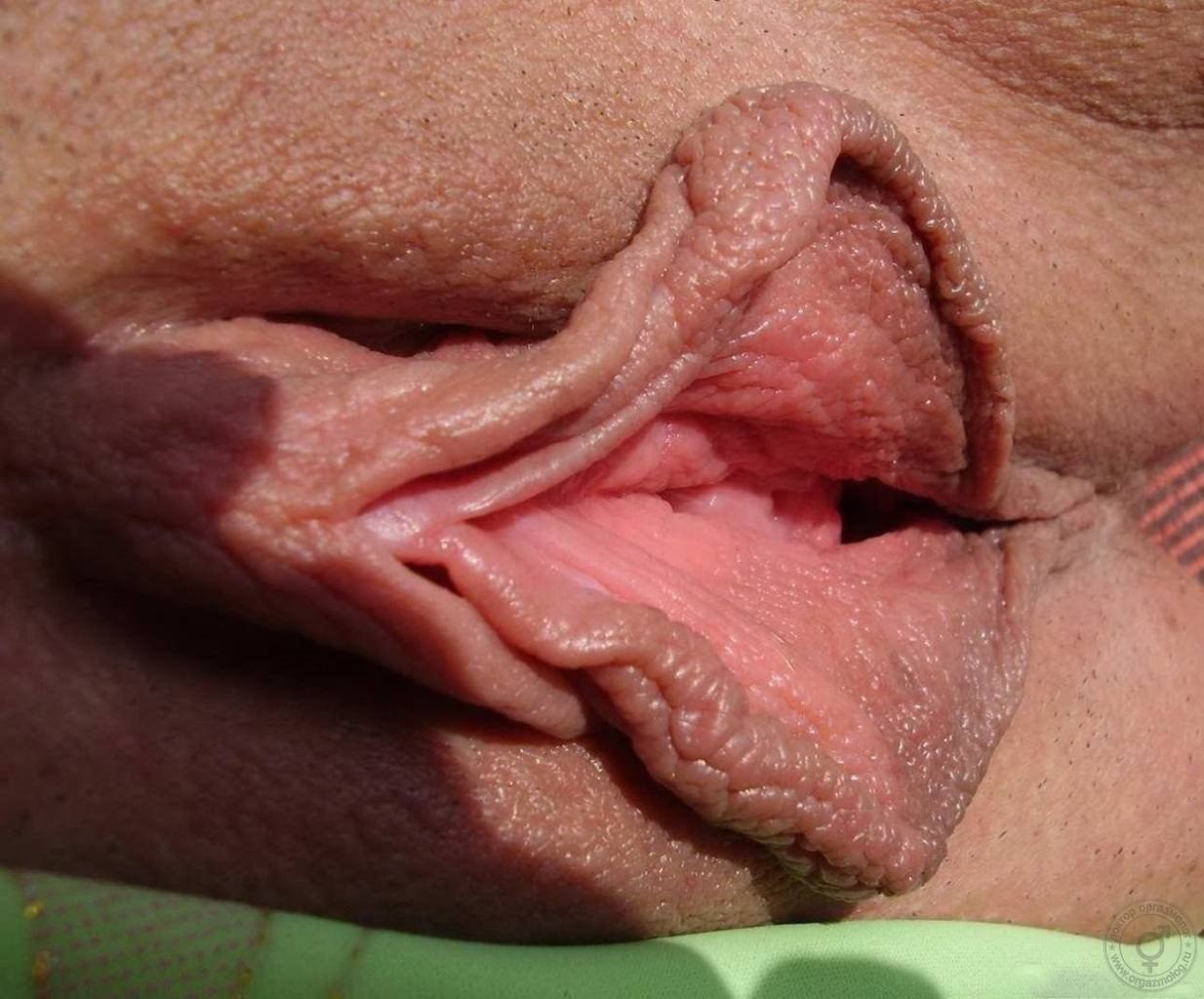 Big-mouth pussy close-ups 