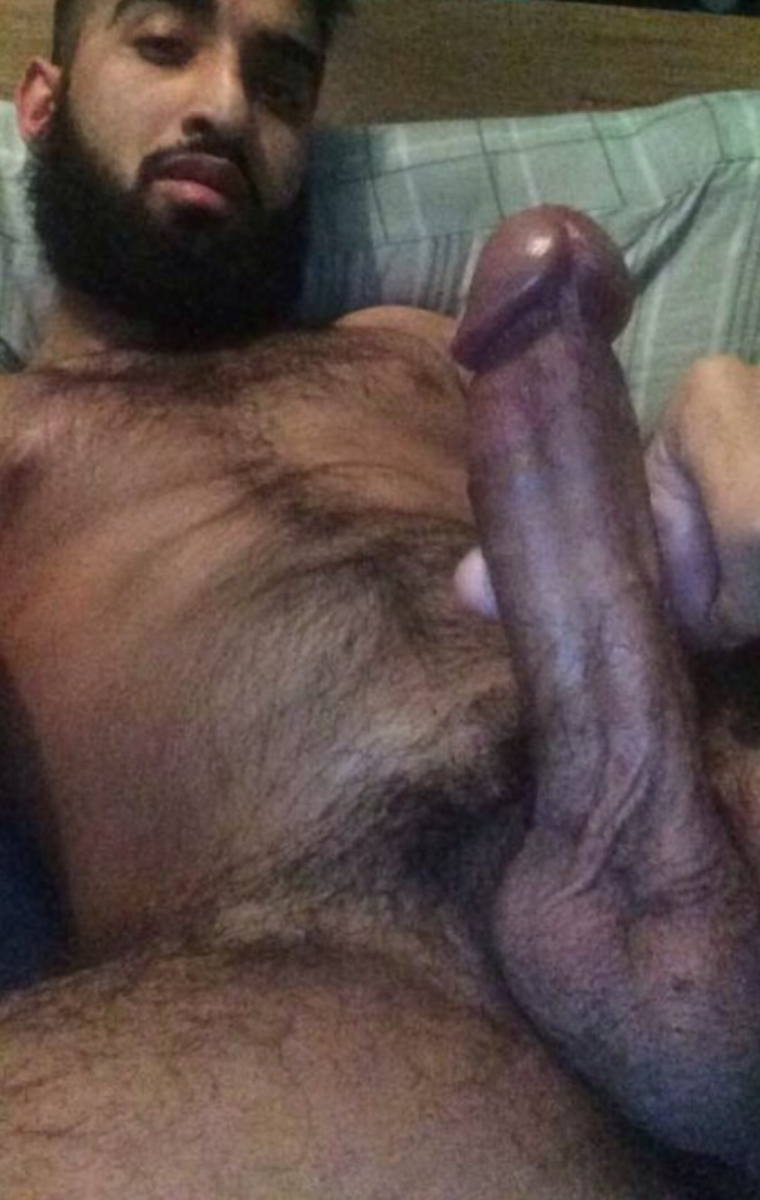 Arab hairy member