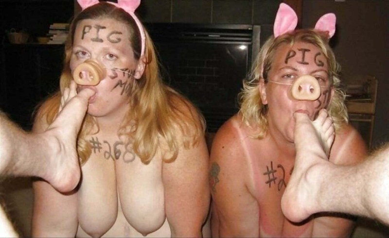 Naked women in a costume of pigs