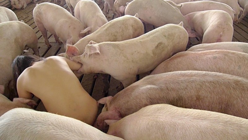 Girl gets off with a piglet