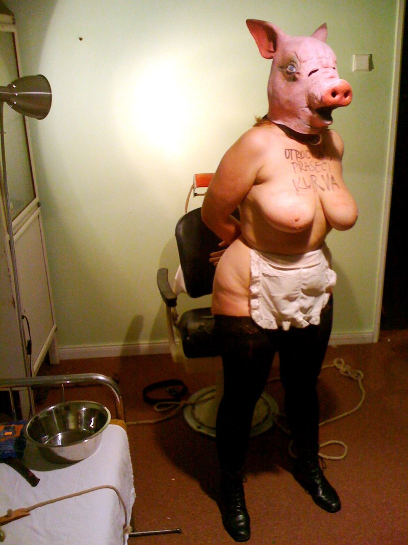 Girl in a costume of Pig BDSM