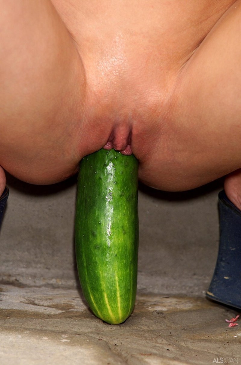 Big cucumber for vagina