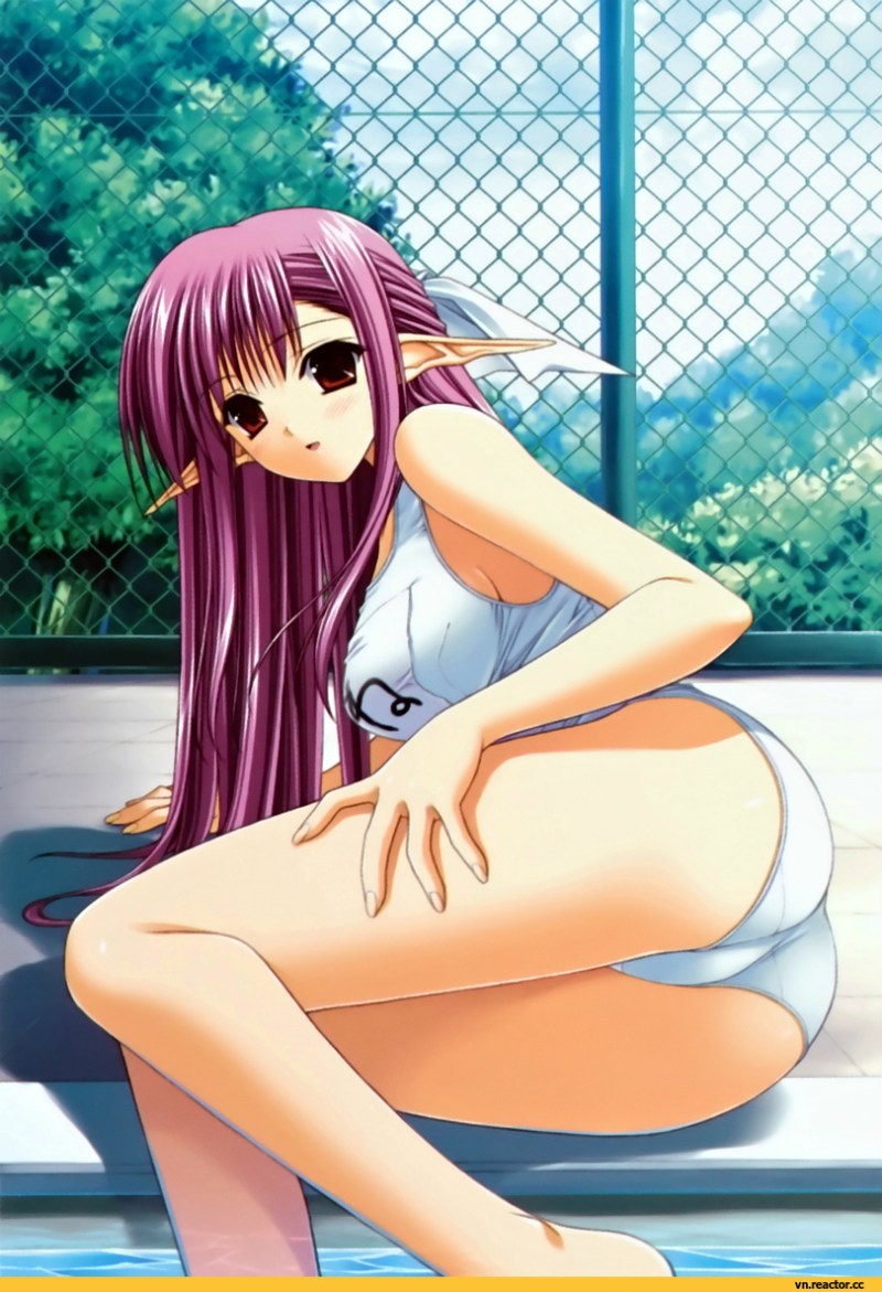 Anime Hentai Novella Shar