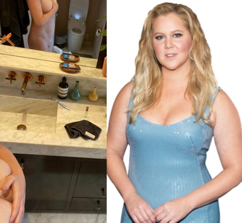Actress Amy Schumer Naked
