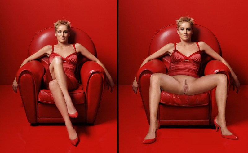 The crotch Sharon Stone