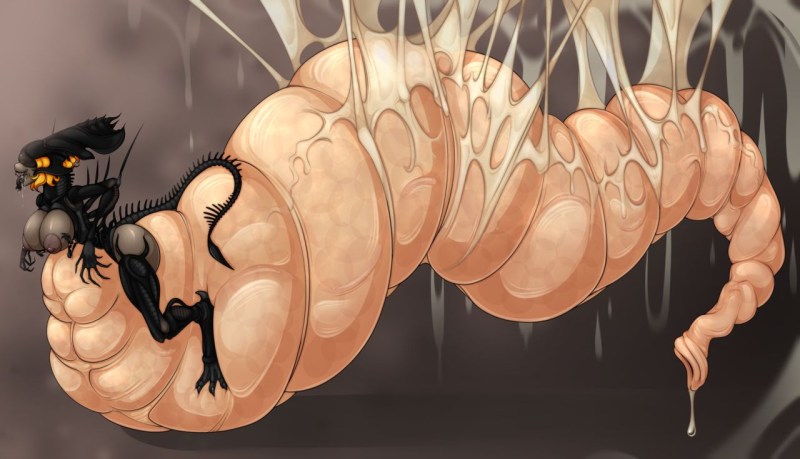 Hentai xenomorphs parasite
