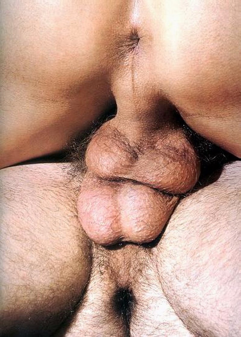 Gay-porn swallowed eggs