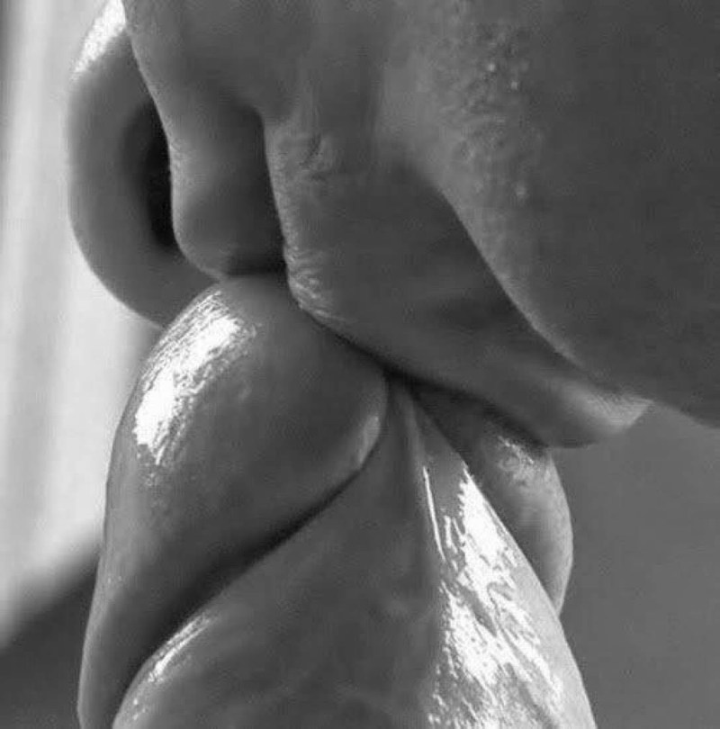 Close -up member kiss