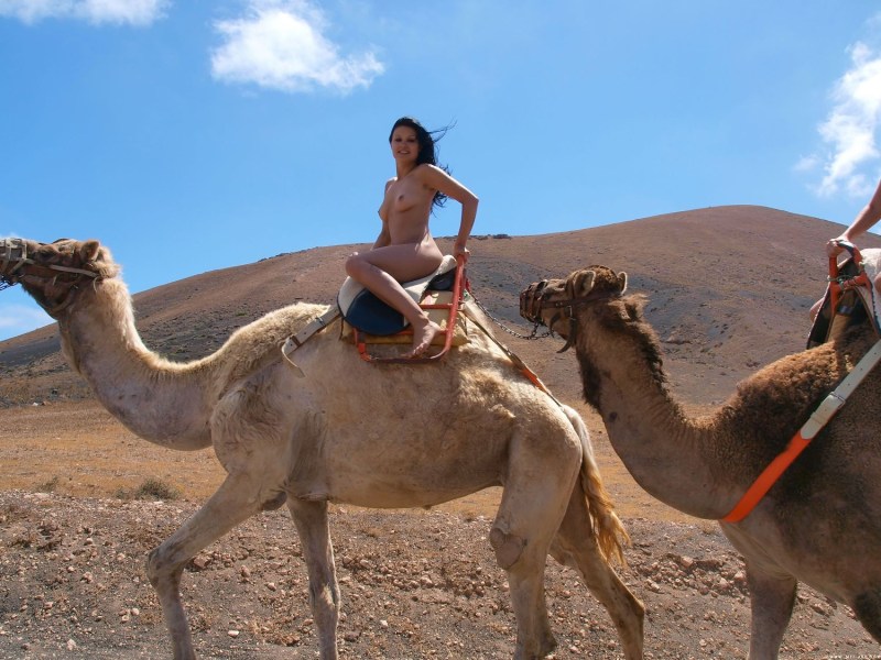Girls and camel nude
