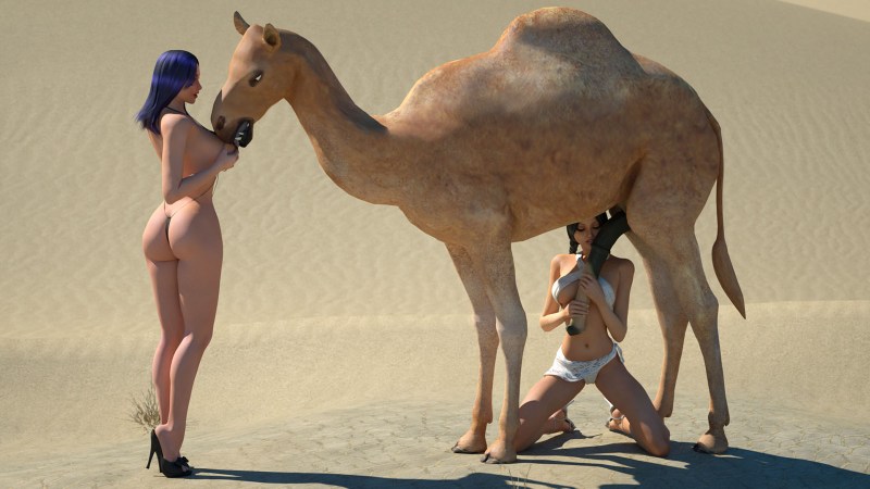 Naked photo shoot with a camel