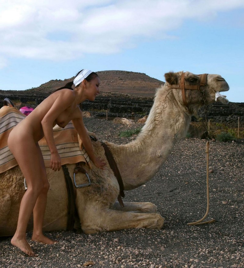 Mongolian naked with a camel