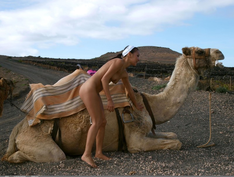 Naked photo shoot with a camel