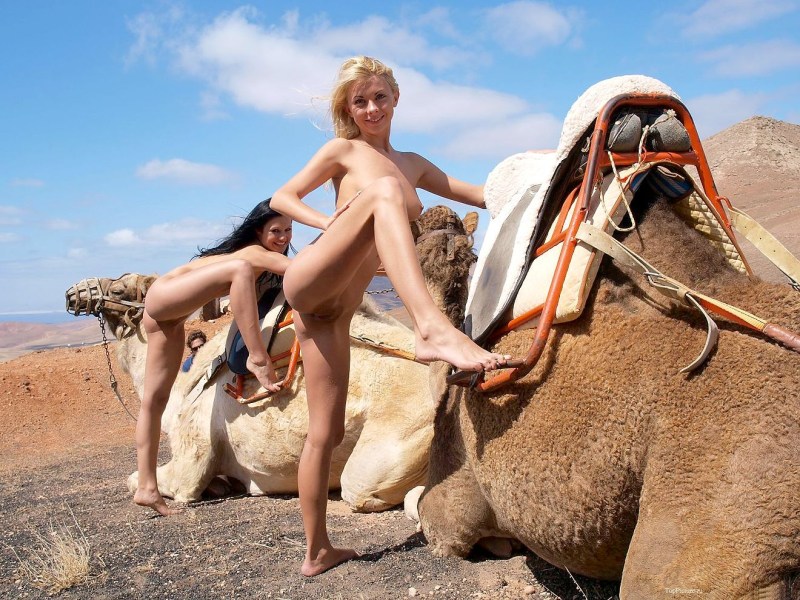 Naked photo shoot with a camel