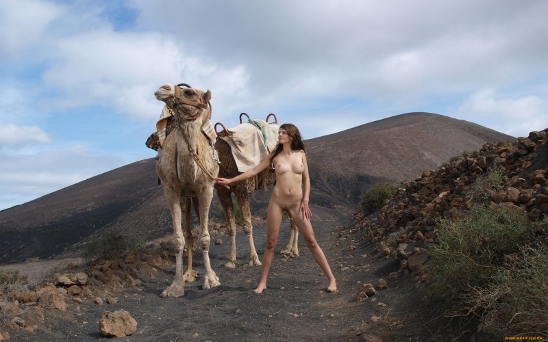 Woman camel fuck