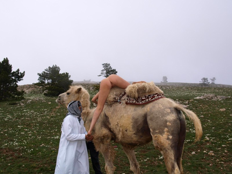Girl fucks a camel