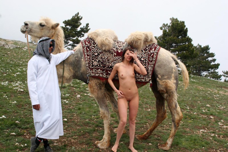 Camel is erotic costume