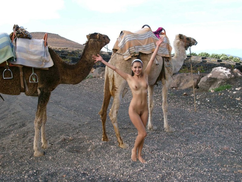 Naked chick on a camel