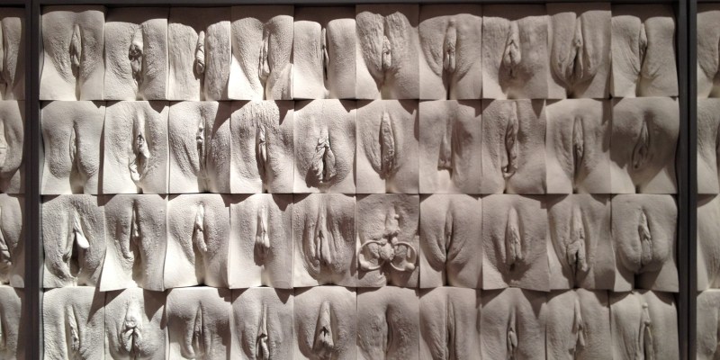 The Great Wall of Vagina Jamie McCartney