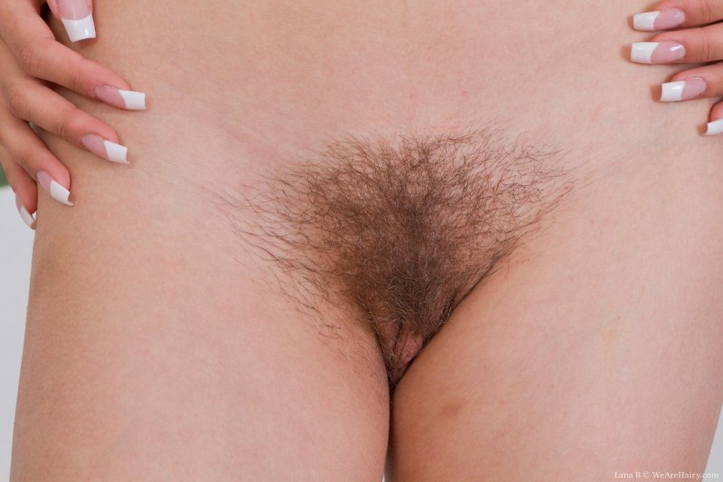 Beautiful hairy pubis
