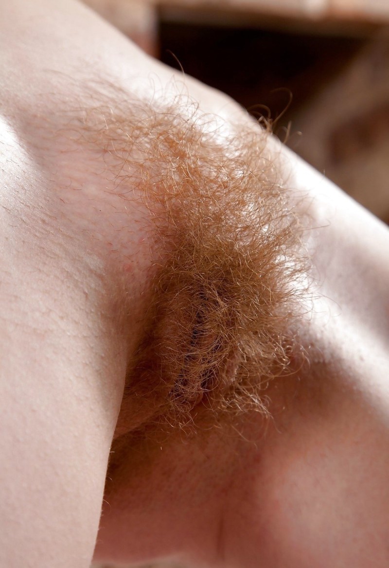 Beautiful hairy female pubis