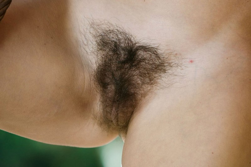 Beautiful unshaven female pubis