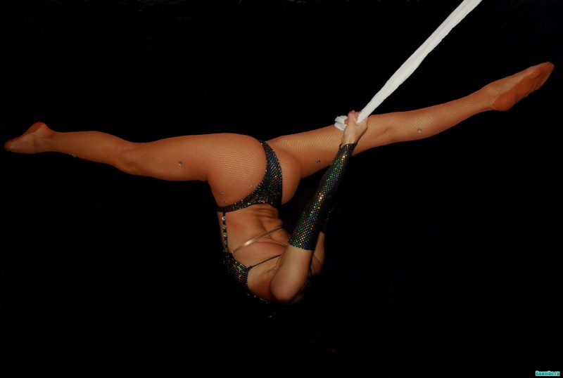 Erotic circus gymnasts