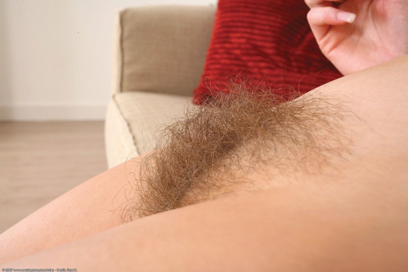 Hairy fluffy pubis