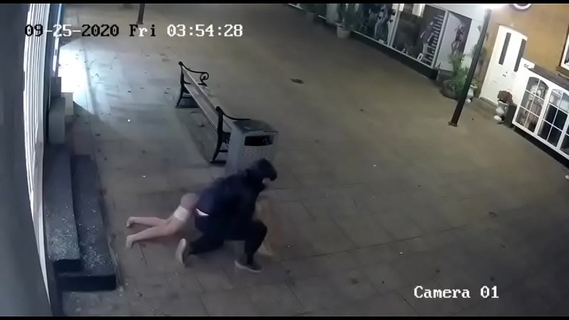 The robbers divided the girl