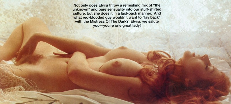 Kassandra Peterson chest