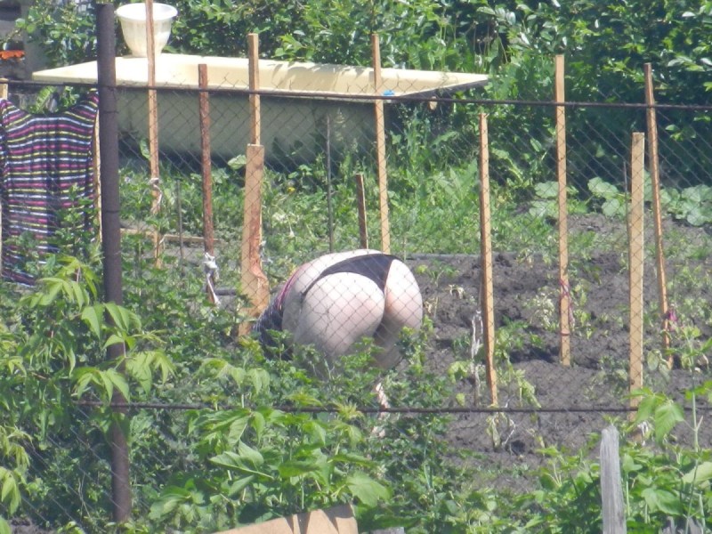 Women's owls on the beds