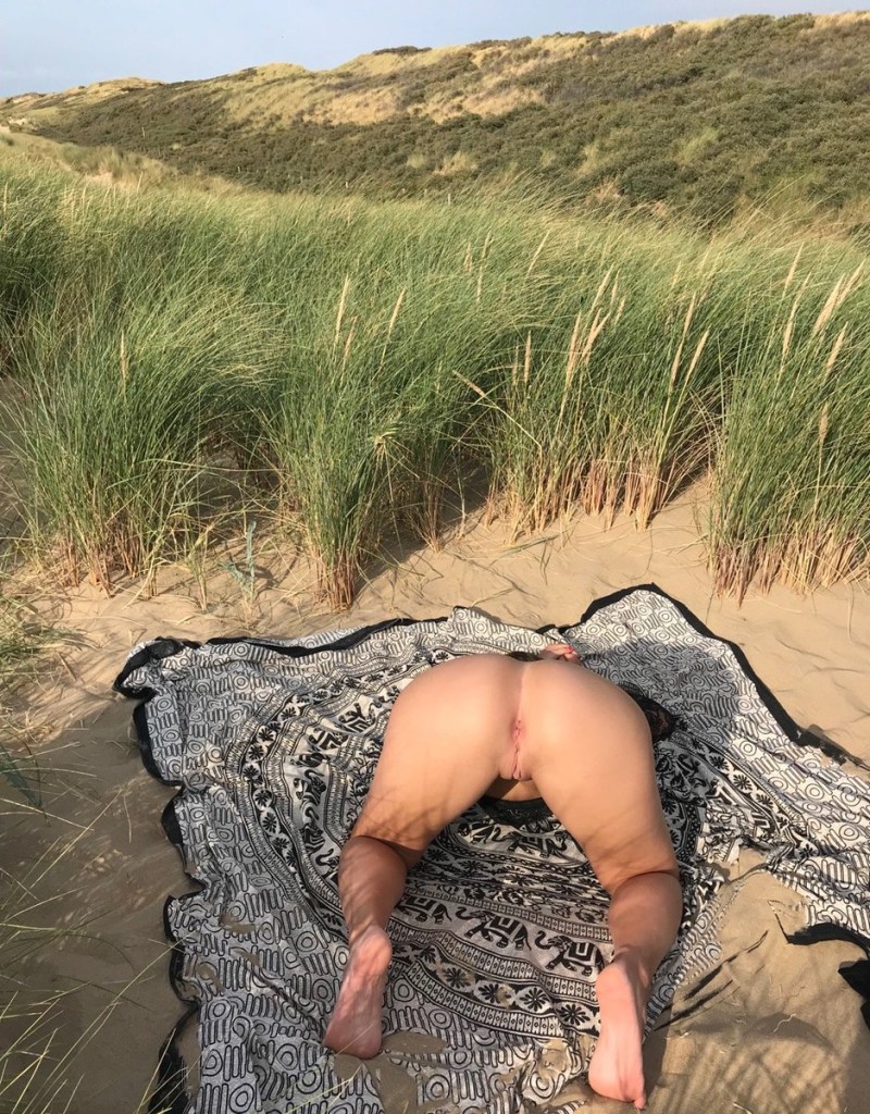 A crustacean poses in nature