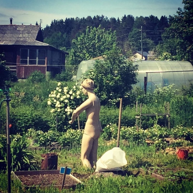 Summer residents in the country