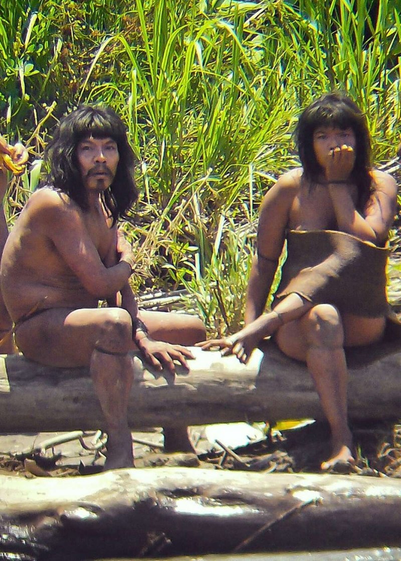 The wild tribes of the Amazon are non -contact