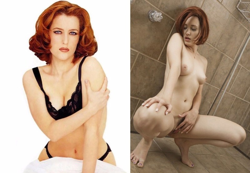 Gillian Anderson Pornstar