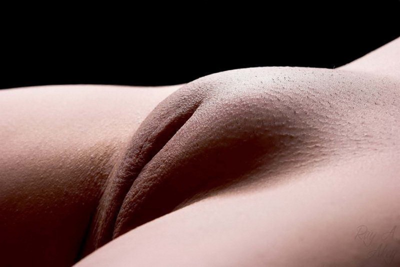 Feminine pubis close -up