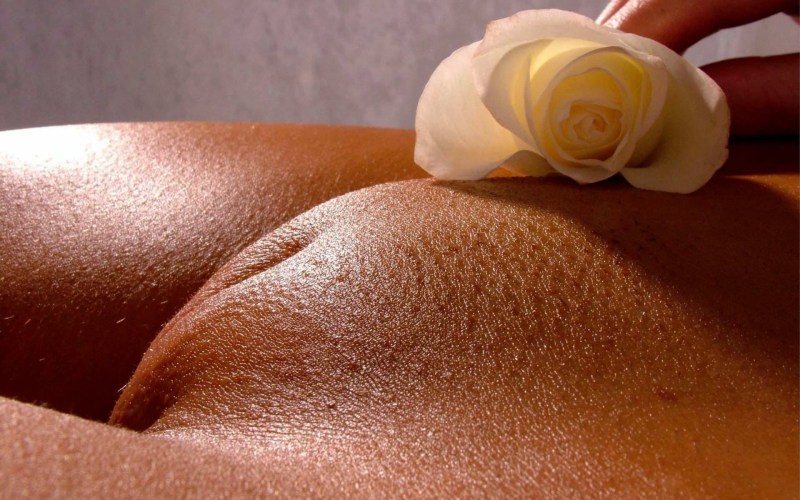 Beautiful girl's pubis