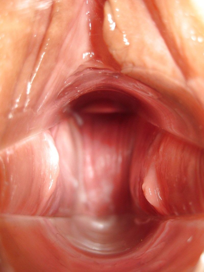 Women's vagina from the inside