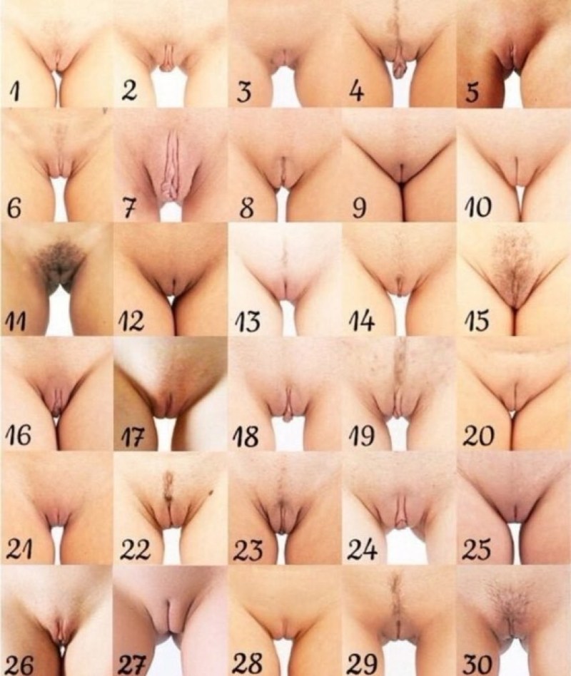 Different forms of female genitals